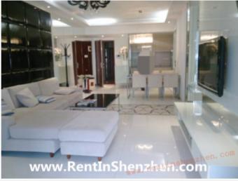Shekou apartment,Luxry Apartment Shenzhen