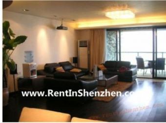 Luxury Penisula,Apartment rent 2 Shenzhen