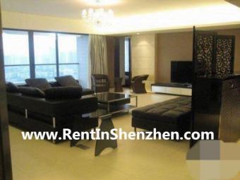 Shenzhen Futian top apartment/In Shenzhen