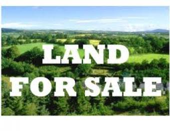 26 Acres in Choiseul Choiseul