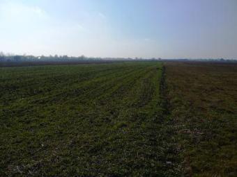 land for sale Piatra Neamt