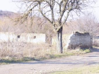 Rural property for sale! Shumen