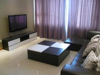 new apartment for rent in Dist 1 Hcmc