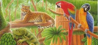 Land in Calakmul-Campeche Campeche
