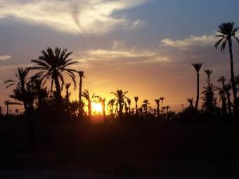 LAND Palmerai Marrakech for sell Marrakech