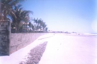 42 Hectares Of Land -Brazil Fortaleza