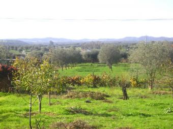 PLOT FOR CONSTRUCTION Alentejo