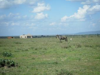 Prime Land for sale - Nairobi (KITENGELA) Nairobi