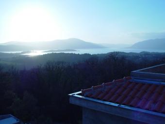 Mr.Zoran Nikolic Kotor