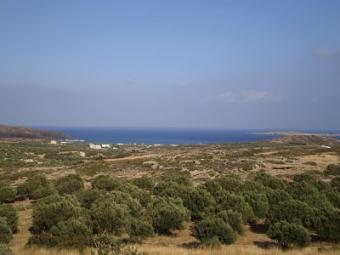 LAND FOR SALE IN CRETE Palaikastro