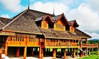 Rare, Exotic, Giant, Golden Teak Chiang Mai