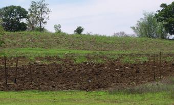Overlooking Lot for Sale Dumaguete