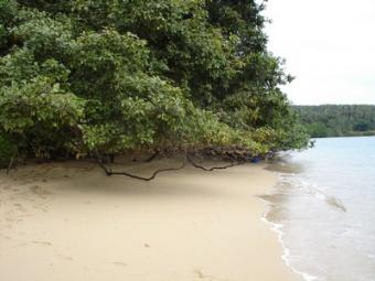Private Beach Ko Lanta Yai