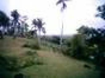Farms in Albay for sale Daraga