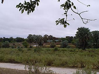PRIME RIVERFRONT PLOT IN MAUN Maun