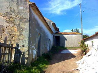 Farm to Recover - Caldas Rainha Caldas Da Rainha