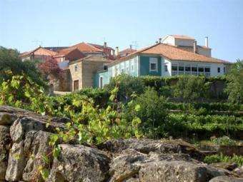 Farm - Banks of Douro River Porto