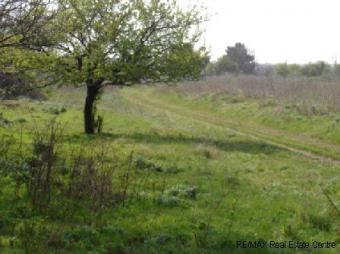 A picturesque plot of land Generl Toshevo