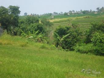 Canggu land near berawa beach Bali