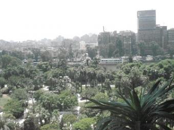 Apartment for rent in Zamalek Zamalek