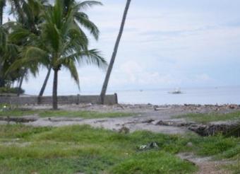 Beachfront Lot for Sale Bais City