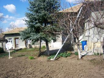 For Sell Hous in Town Sadina Sadina
