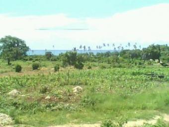 Duncan Diani, Kwale