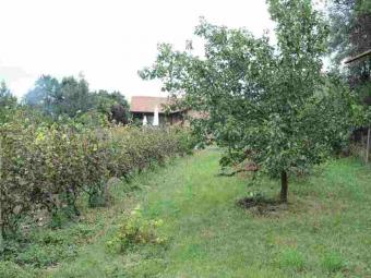 The garden Szentendre