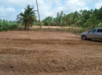 Bare land for sale biyagama Biyagama Siyabalape