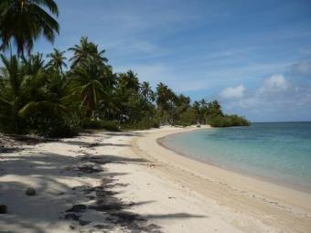 Beachfront land at Saman�. Las Terrenas, Samana, Dominican Republic