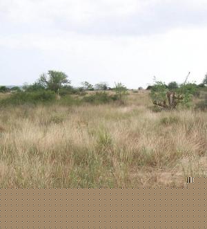 Plot of Land 2ht in Luanda Luanda