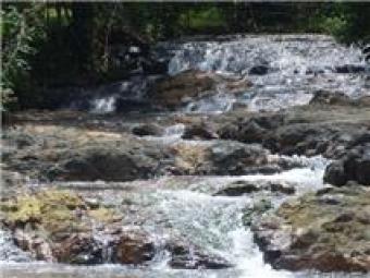 property with beach front Veraguas
