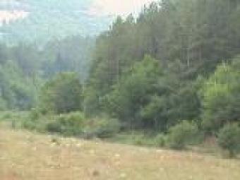 Location for sale in Bistra Moun Bistra Monutain