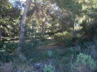 plot of land in santa ponsa Palma De Mallorca