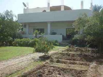 luxor.luxury villa (1020sq mtr ) Luxor