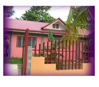 good house and lot forsale Tulang Getafe Bohol