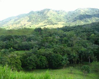Land for Sale in Jayaco Jayaco Arriba