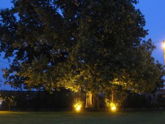 Business opportunity Ronchi Massa Tuscany