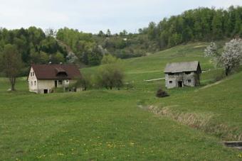 Farmhouse ,Barn and 3000m2 land Celje