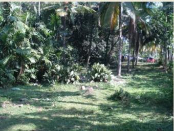 LAND IN KADUWELA FOR SALE Kaduwela