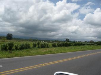 Lote Carretera Principal Gu�pile Guapiles