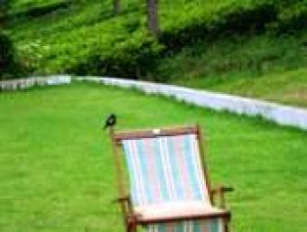 Bungalow Tea Estate sale Ooty Kotagiri
