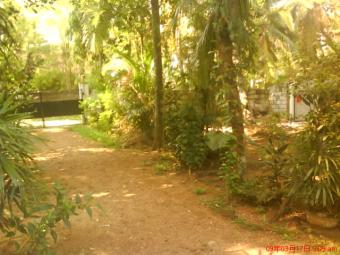 25p with house from kesbewa town Colombo