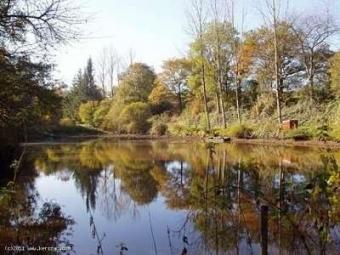 Stone House With Carp Lake Montmorillon