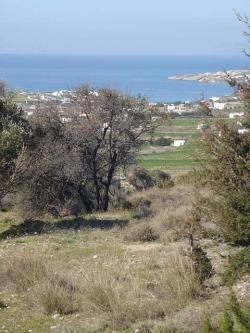 A18 LAND FOR SALE Paros