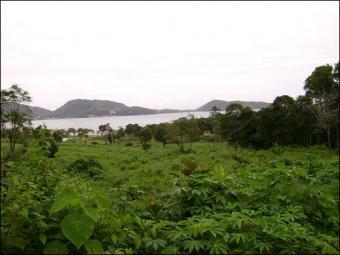 Lands for sale in Rawai-Naiharn Phuket
