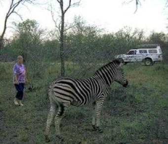 Kruger Park land Marloth Park