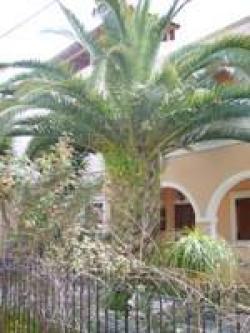 KERKYRA ACHARAVI  VILLA Kerkyra