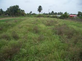 3 lots available in Aranguez Aranguez