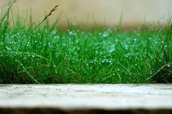 Ready Plot in London City Dhaka Purbachal London City